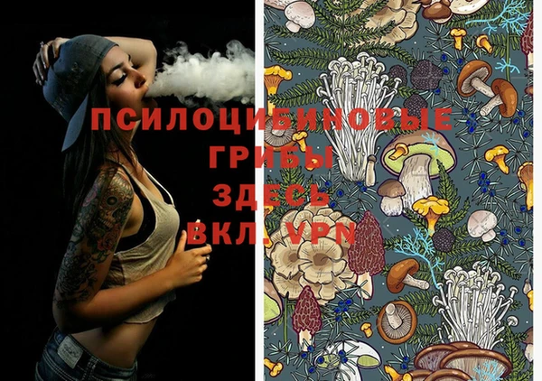 ECSTASY Заводоуковск